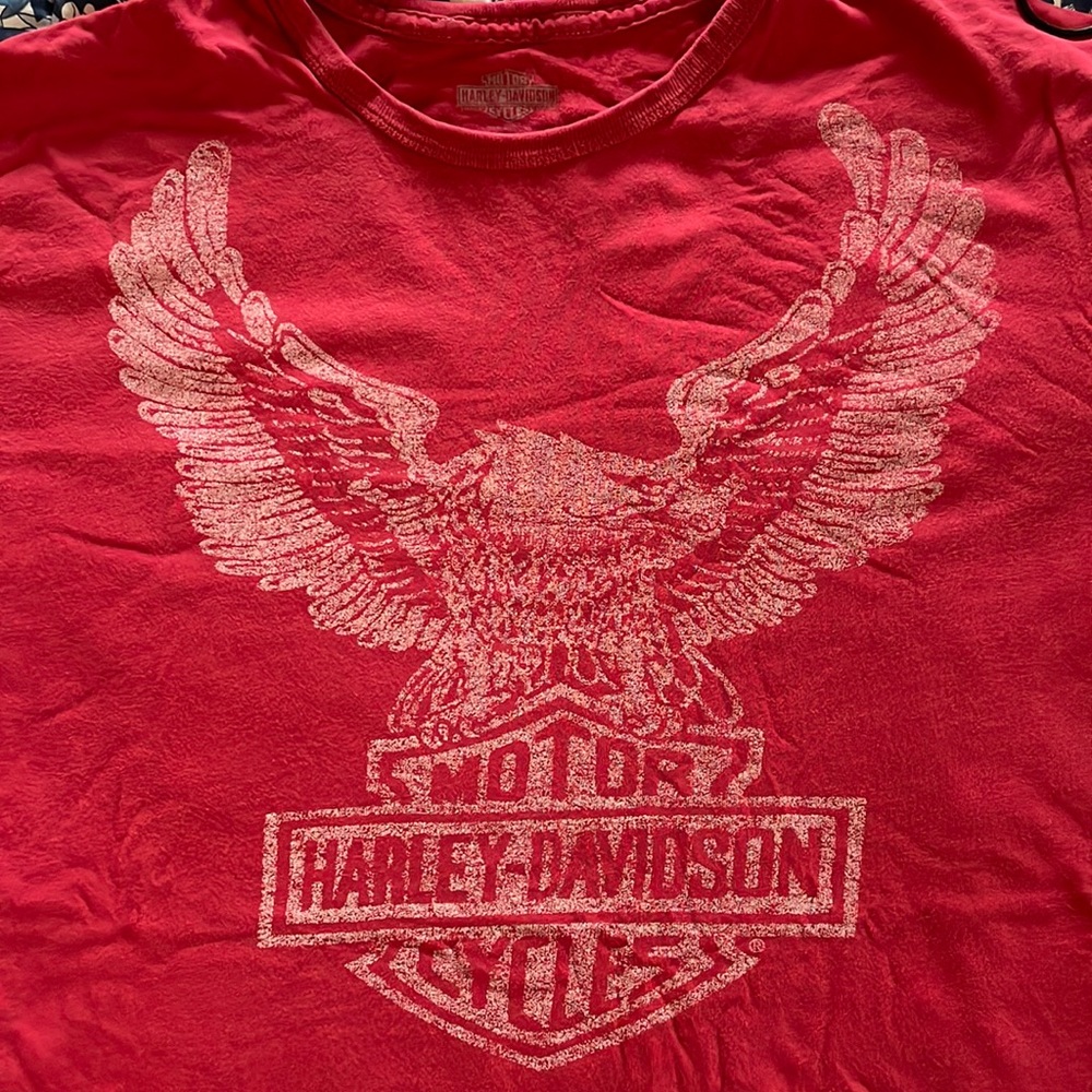 Mens Harley Davidson limited Trunk tshirt, size L